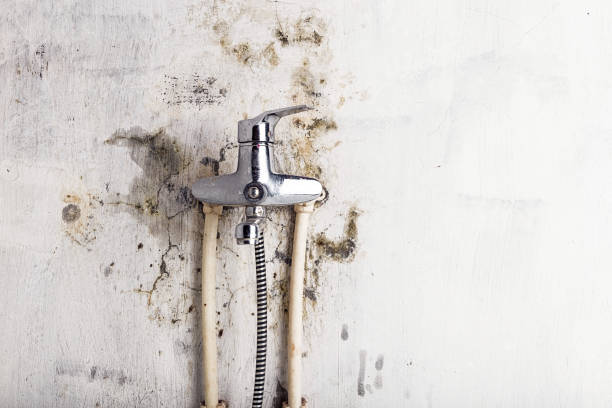 Best Mold Removal Near Me  in Aquia Harbour, VA