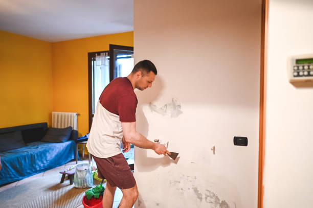 Best Mold Removal and Inspection  in Aquia Harbour, VA